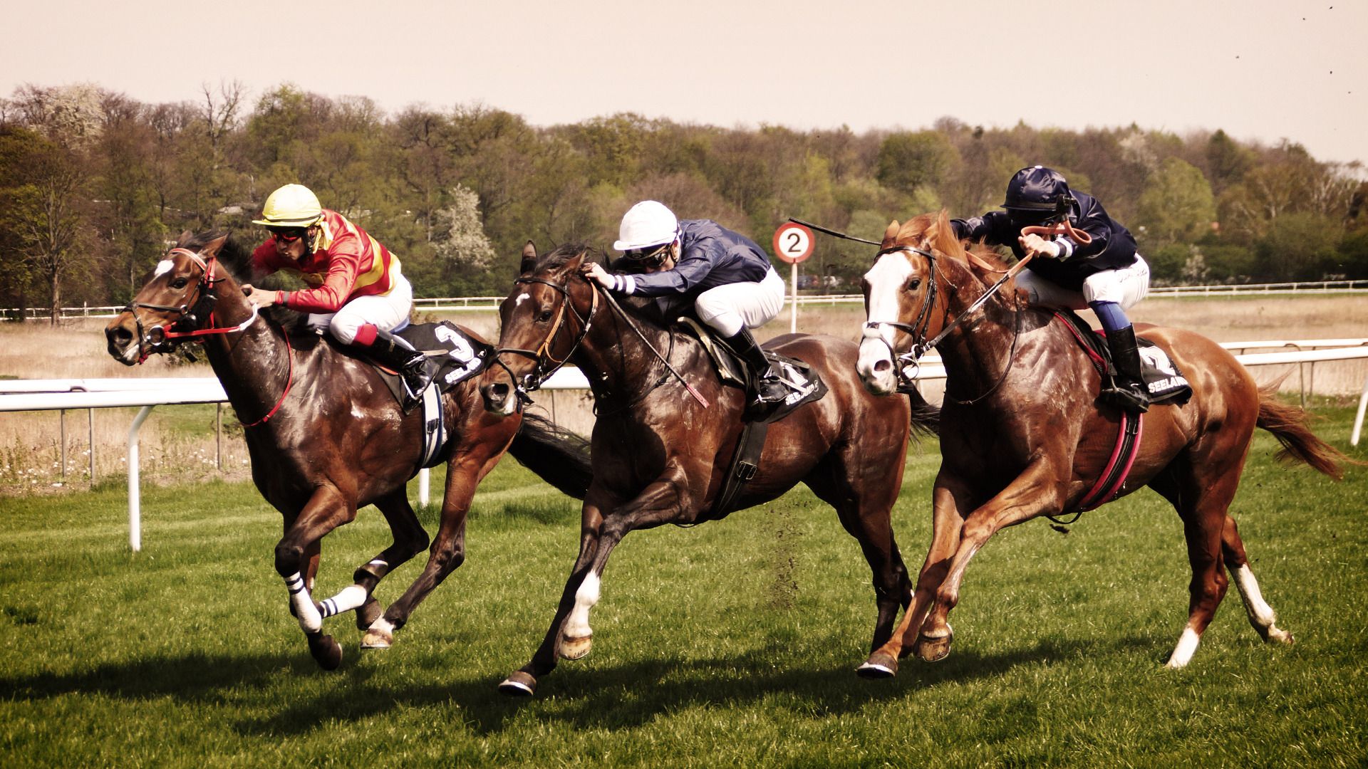 konjske utrke, kladionice.tv