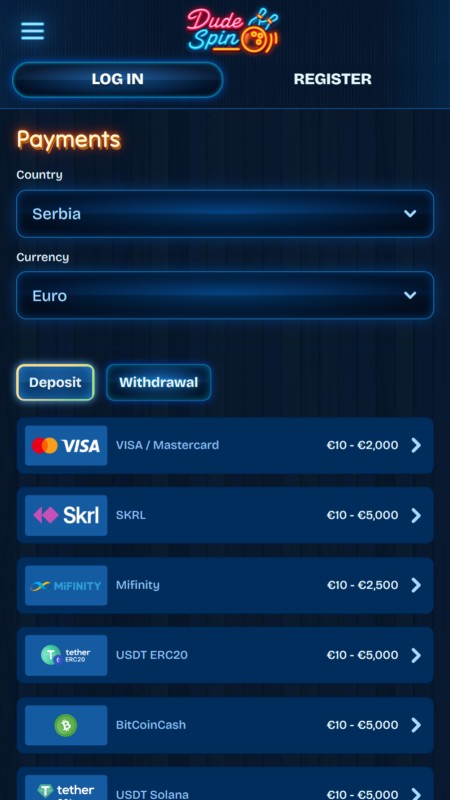 DudeSpin Payment methods