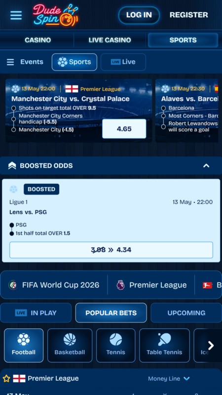 DudeSpin sport betting