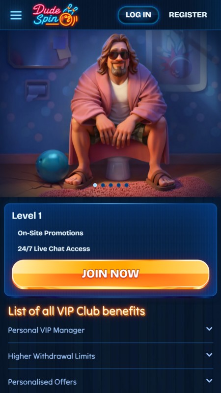 DudeSpin VIP program